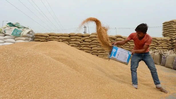69cbb19b423ba-wheat-procurement-31355013-16x9-237522