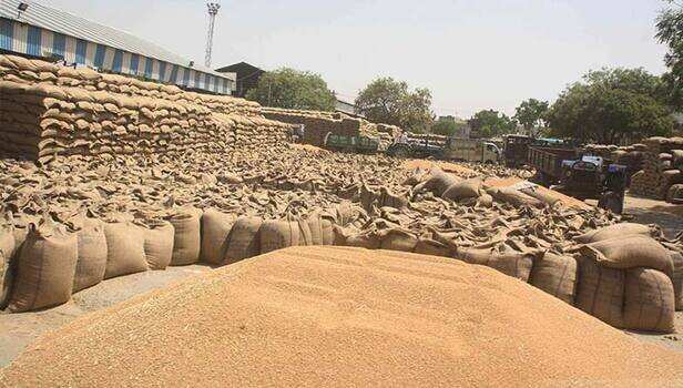 Wheat-645629