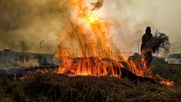 6745f796b6fee-punjab-stubble-burning-263008630-16x9-684520