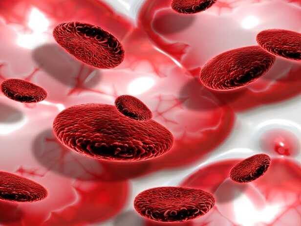 World Hemophilia Day 2023 In hemaphilia blood clotting is not possible. | World  Hemophilia Day 2023: 5000 में से सिर्फ एक शख्स को होता है ये हीमोफीलिया,  ऐसी हो जाती है शरीर की हालत