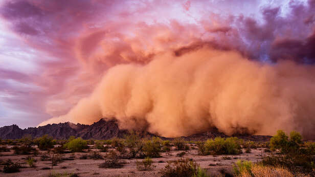dust-storm