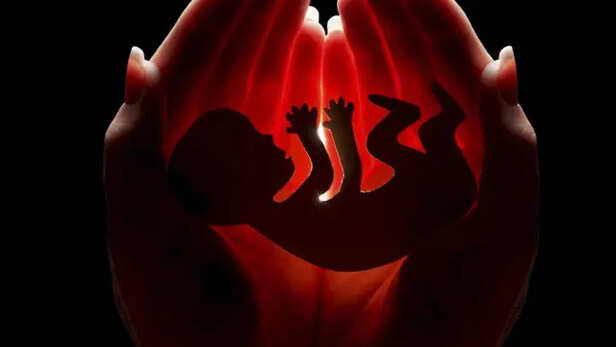_103366713_ddd3bb67-8a7b-4ee8-9681-422faefe9e5d.jpg-745367