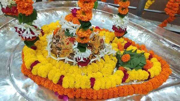 रीवा में इकलौता आलौकिक महामृत्युंजय धाम, अकाल मृत्यु मुक्ति का दिव्य द्वार