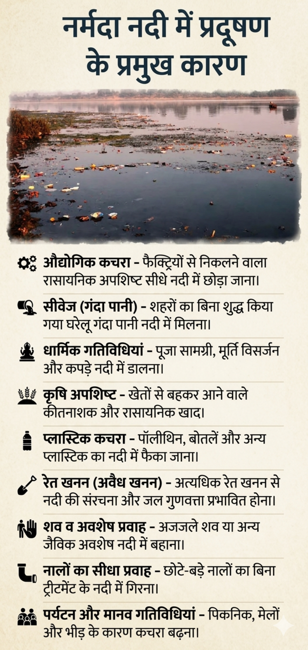 ngt report narmada river