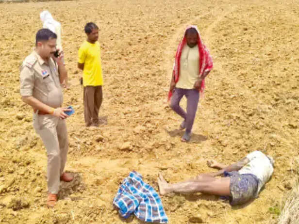 सरगुजा में बुजुर्ग की हत्या