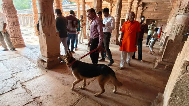 धार भोजशाला: 721 साल बाद भोजशाला में गूंजेंगे मां वाग्देवी के जयकारे,  शुक्रवार को पहली बार होगी महाआरती - People's Update