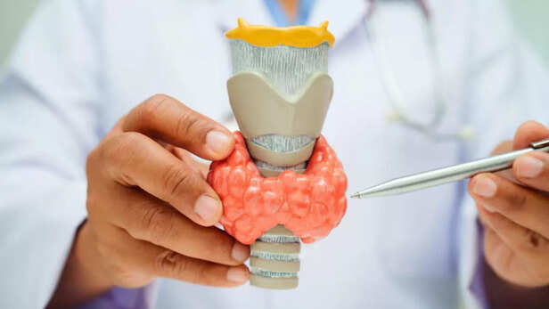 क्यों हर साल मनाते हैं World Thyroid Day? पढ़ें इसका इतिहास, महत्व और साल  2025 की थीम - Why do we celebrate World Thyroid Day every year Read its  history significance and