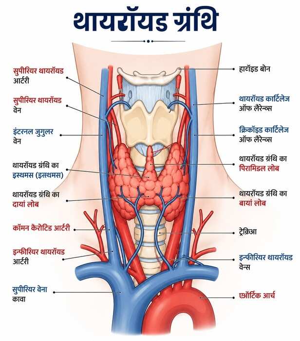 World Thyroid Day