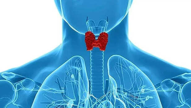 World Thyroid Day 2021 worst food for thyroid these 5 foods is dangerous  for hypothyroidism patients in hindi:World Thyroid Day 2021: थायराइड के  मरीज बिल्कुल भी ना करें इन चीजों का सेवन,
