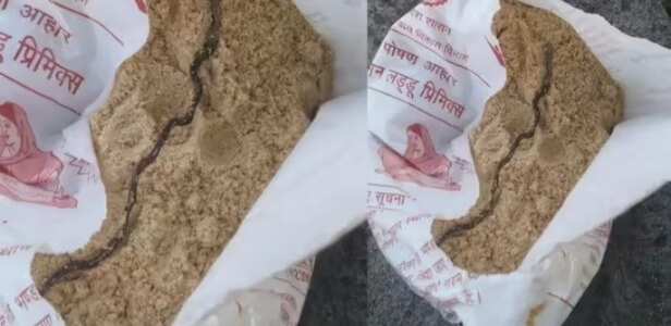 sattu snake