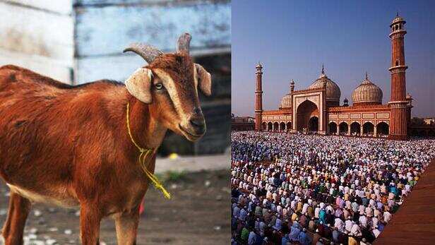 Bakrid 2022: क्यों मनाते हैं बकरीद? ऐसे शुरू हुई थी कुर्बानी की प्रथा - Eid  al Adha Bakrid 2022 history and Significance of Animal Sacrifice on Bakrid  tlifd - AajTak
