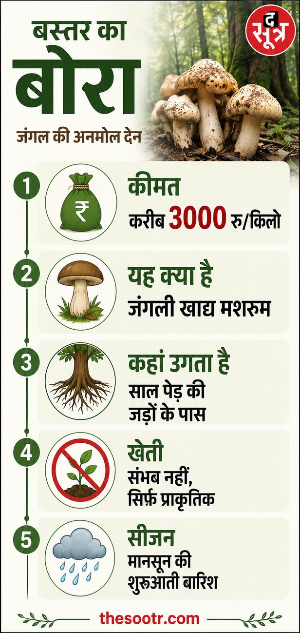 छत्तीसगढ़ की सबसे महंगी सब्जी