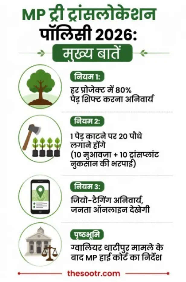 mp-tree translocation policy