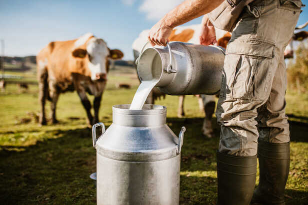 World Milk Day 2021:उत्पादन में भारत सबसे आगे, फिर सवालों के घेरे में क्यों  दूध की गुणवत्ता? - World Milk Day 2021 India At The Forefront Of Milk  Production Why The Quality