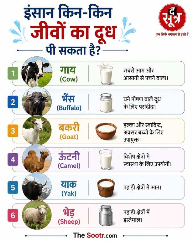 World Milk Day