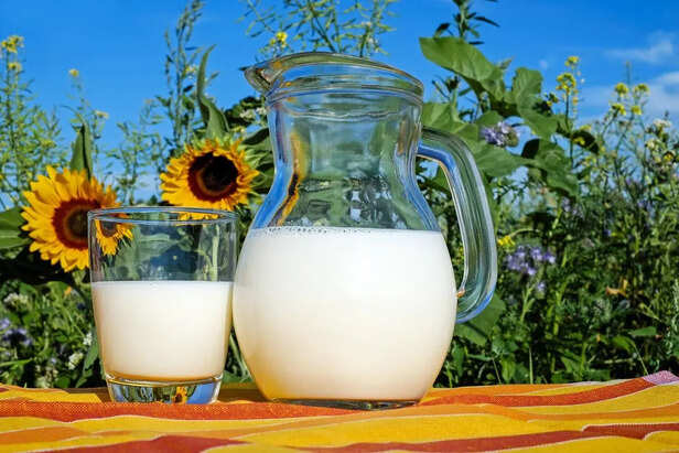 know why world milk day is celebrated जानें, 1 जून को क्यों और कब से मनाया  जाता है विश्व दुग्ध दिवस - News18 हिंदी