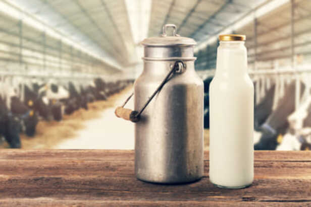 World Milk Day 2021:उत्पादन में भारत सबसे आगे, फिर सवालों के घेरे में क्यों  दूध की गुणवत्ता? - World Milk Day 2021 India At The Forefront Of Milk  Production Why The Quality