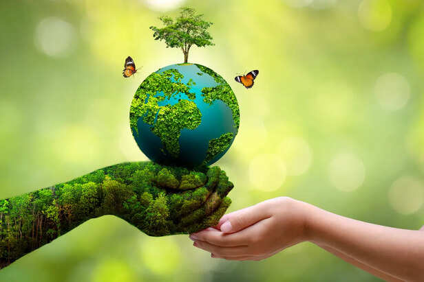 When Is World Environment Day? History, Significance, and 2024 Theme – EQUO
