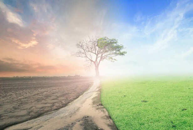 World Environment Day: पर्यावरण के मोर्चे पर ये हैं भारत की 10 बड़ी  चिंताएं, इंसानों पर भी पड़ेगा प्रभाव!