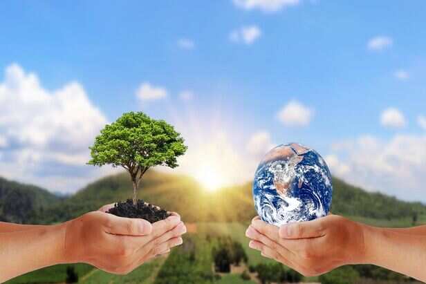 World Environment Day 2021: six easy tips to save environment - News18 हिंदी