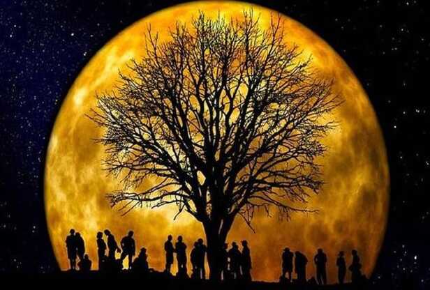 World Environment Day:पृथ्वी के पर्यावरण की बजाय स्वयं के जीवन को बचाने की  जरूरत - World Environment Day: Need To Save Life Rather Than The Environment  Of The Earth - Amar Ujala