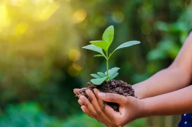 World Environment Day: 5 June, 2024 | Wockhardt Hospitals
