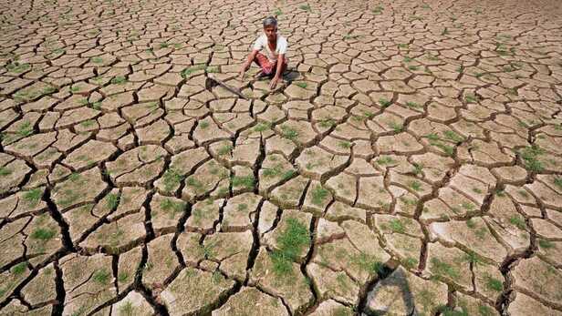 bihar-farm-490856