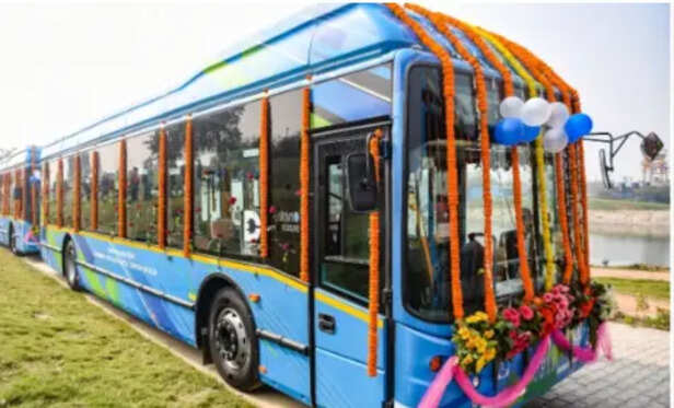 23779268-d79