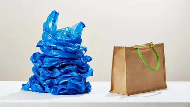 International Plastic Bag Free Day 2023: क्यों मनाया जाता है अंतरराष्ट्रीय प्लास्टिक  बैग मुक्त दिवस? क्या है इसका महत्व और इतिहास, जानिए - international plastic  bag free day ...