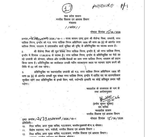 58636855-b3d