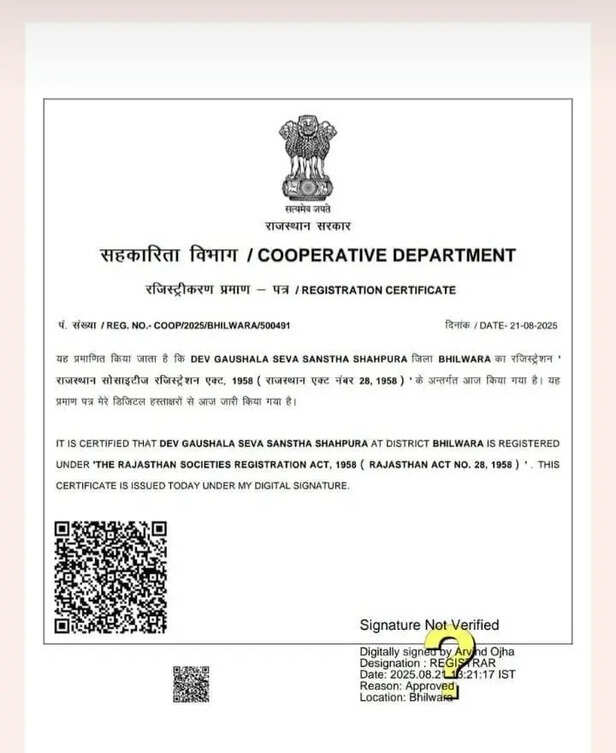 परिवार की संस्था बनाई, बेटे को अध्यक्ष, खुद सचिव, भतीजे-बेटे को अन्य पद