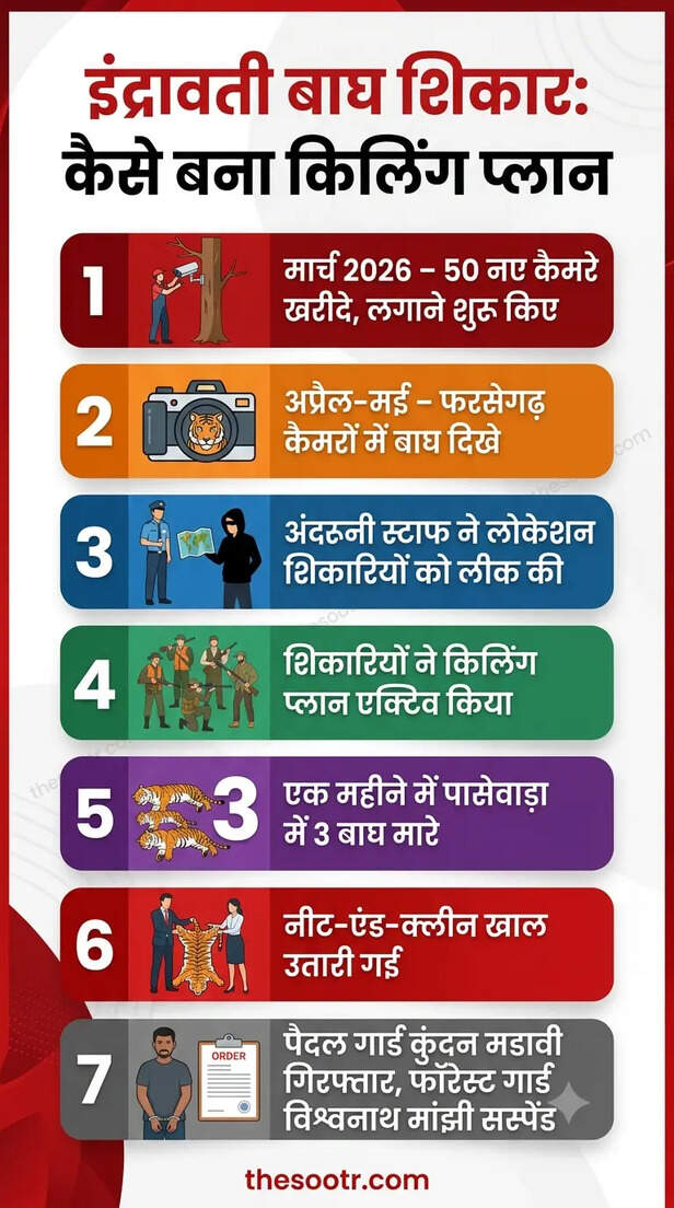 बाघों का शिकार