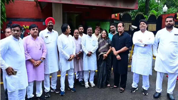 छत्तीसगढ़ कांग्रेस प्रतिनिधिमंडल