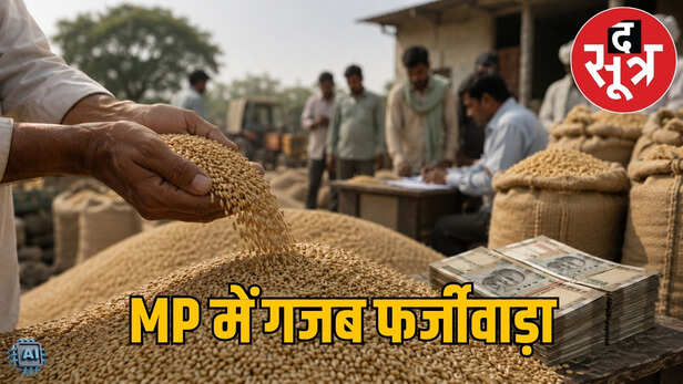 mp-fake-farmers-wheat-procurement-fraud-eow-2026-06-24-12-13-13