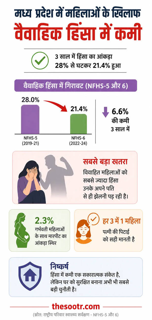 MP Domestic Violence Report