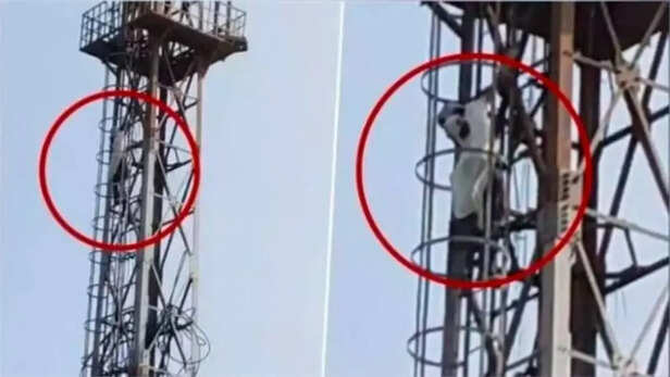 Bihar Couple Mimics Empire State Building Proposal, Risky Tower Halted By  Police | WATCH | Republic World