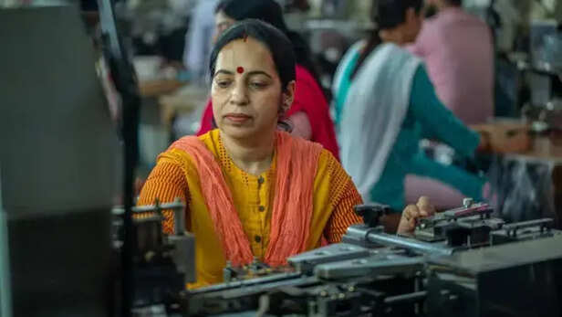 ज़्यादा से ज़्यादा महिलाओं को रोज़गार देने के लिए महिला उद्यमी क्यों ज़रूरी  हैं? - BBC News हिंदी