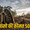 बस्तर और सरगुजा के वनों पर संकट