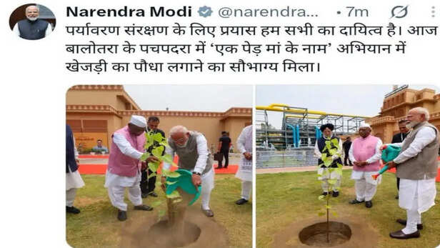 पचपदरा में पीपल लगाया, खेजड़ी बताया, BJP खामोश विपक्ष हमलावर