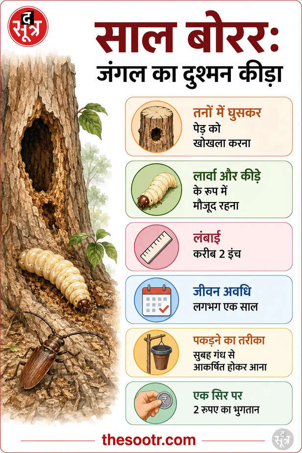 dindori sal borer keede abhiyan