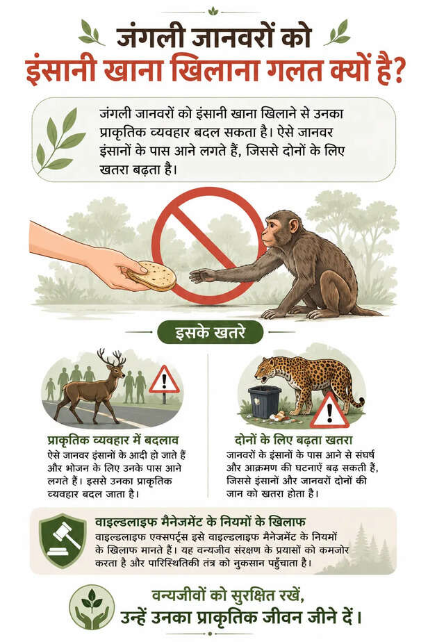 जंगली जानवरों को खाना न दें