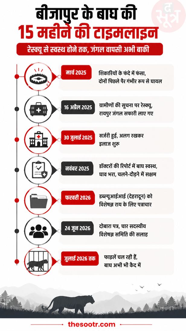 बीजापुर बाघ संरक्षण