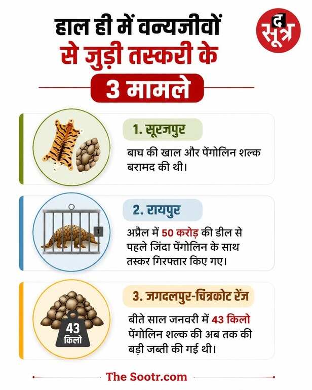 वन्यजीव तस्करी