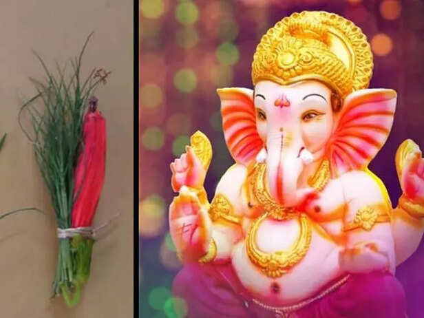 ganesh chaturthi 2021, ganesh utsav 2021, ganesh puja vidhi, Offer Durva,  Rose, Shami leaves to Lord Ganapati, but Tulsi should not be offered, why  Ganesha has a broken tooth?