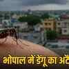 Bhopal Dengue Alert