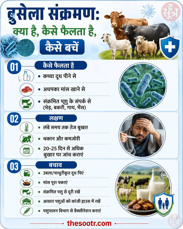 ब्रुसेला संक्रमण