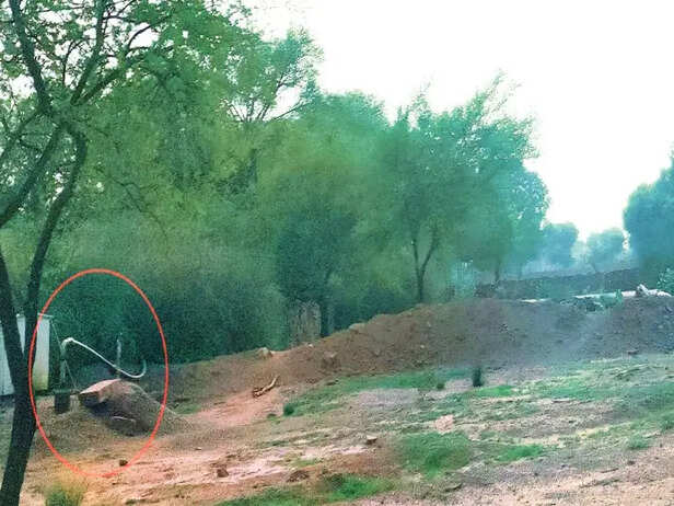 पानी चोरी कर खेतों तक पहुंचाया जा रहा