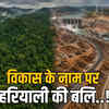 वन भूमि