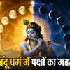 Hindu Calendar Panchang
