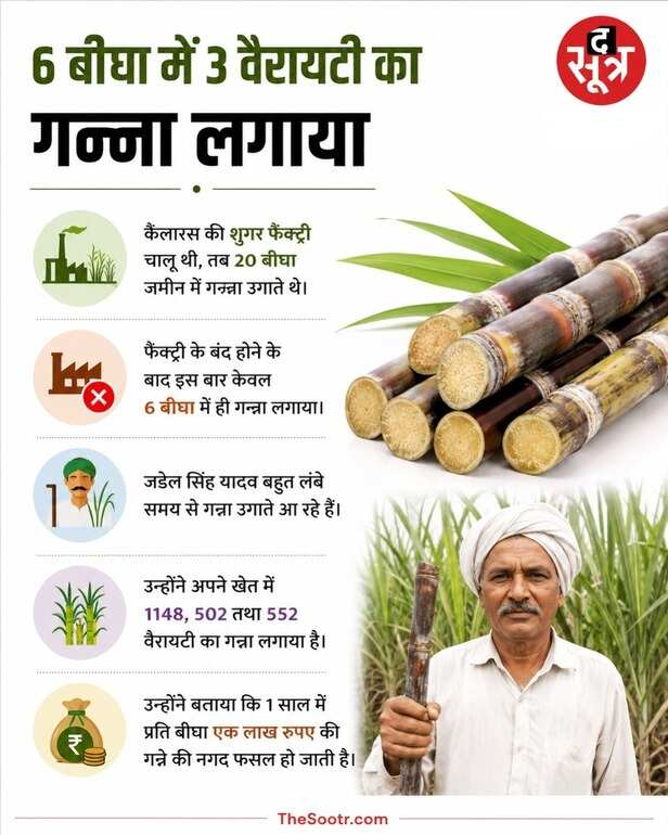 sugarcane farmers morena (2)